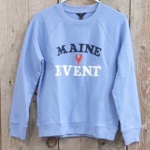 J. Crew Light Blue Crew Neck Sweater